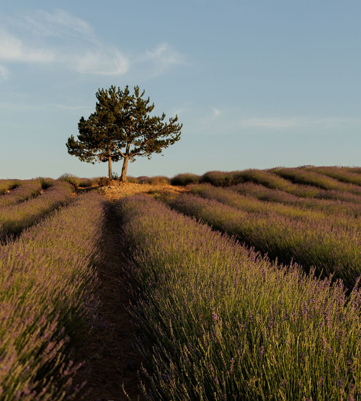 Cursos de Iniciación a la fotografía