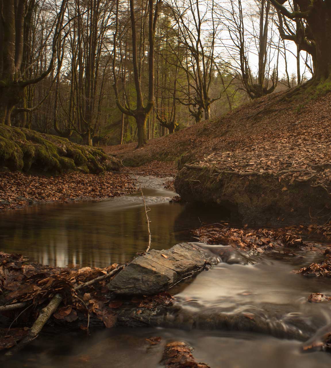 curso fotografia Bilbao