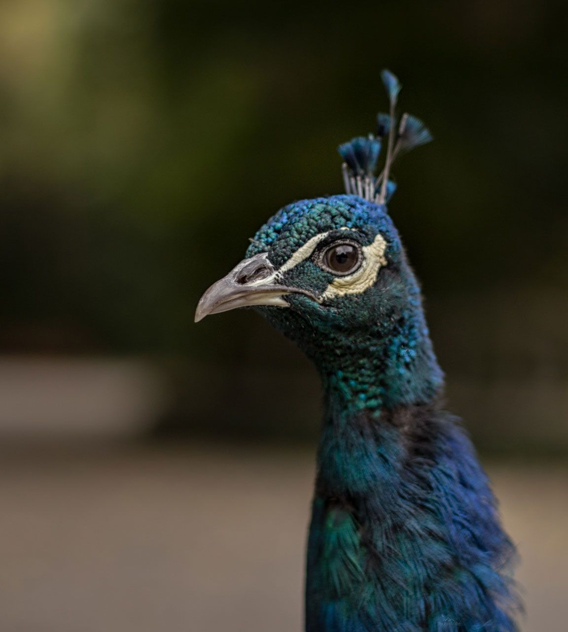 curso fotografia León