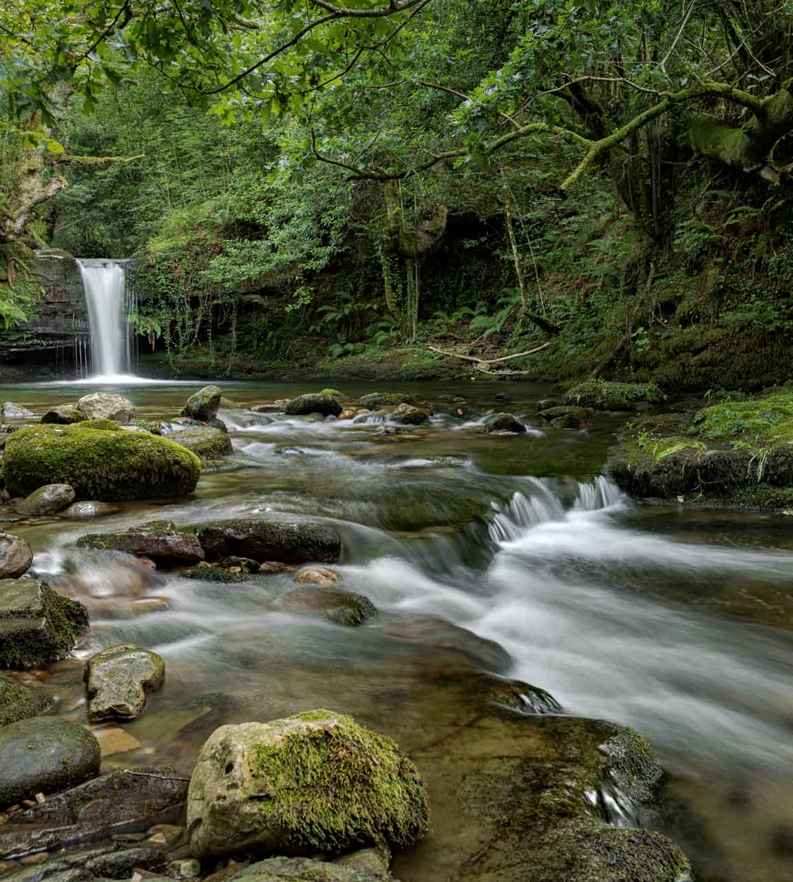 curso fotografia San Sebastian