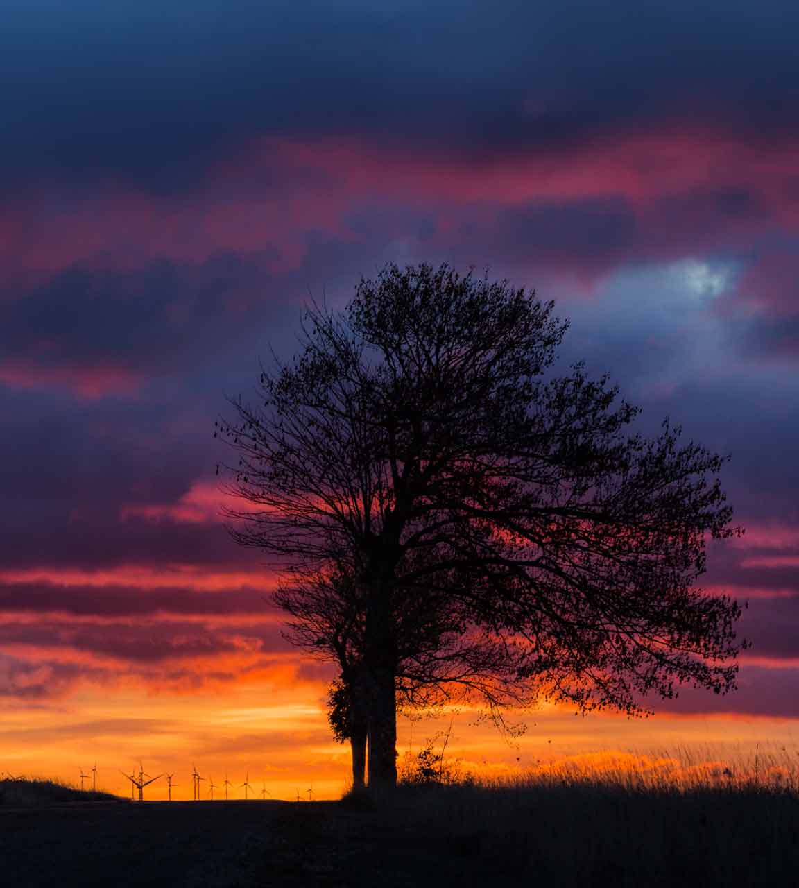 curso fotografia Zaragoza